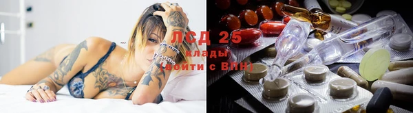 экстази Бородино