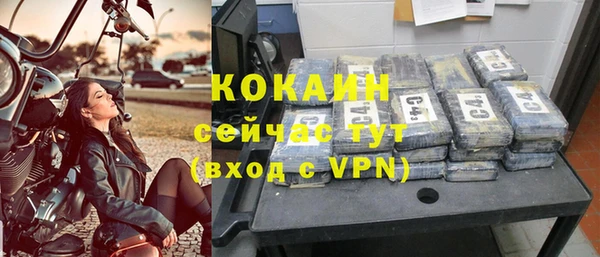 экстази Бородино