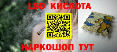 винт Бердск