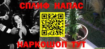 винт Бердск