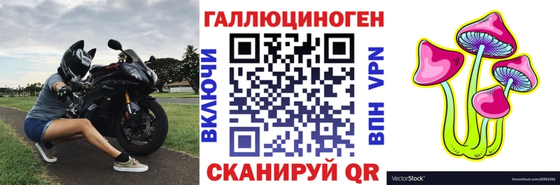 Псилоцибиновые грибы Magic Shrooms omg маркетплейс Верхняя Пышма