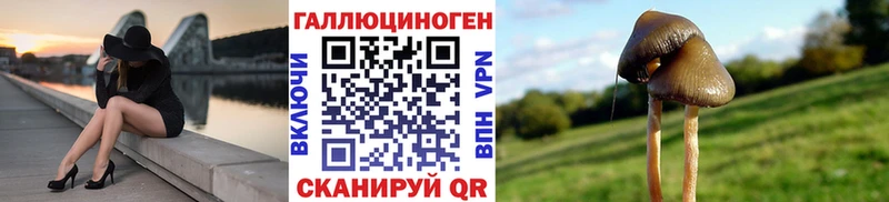 Галлюциногенные грибы мухоморы Верхняя Пышма