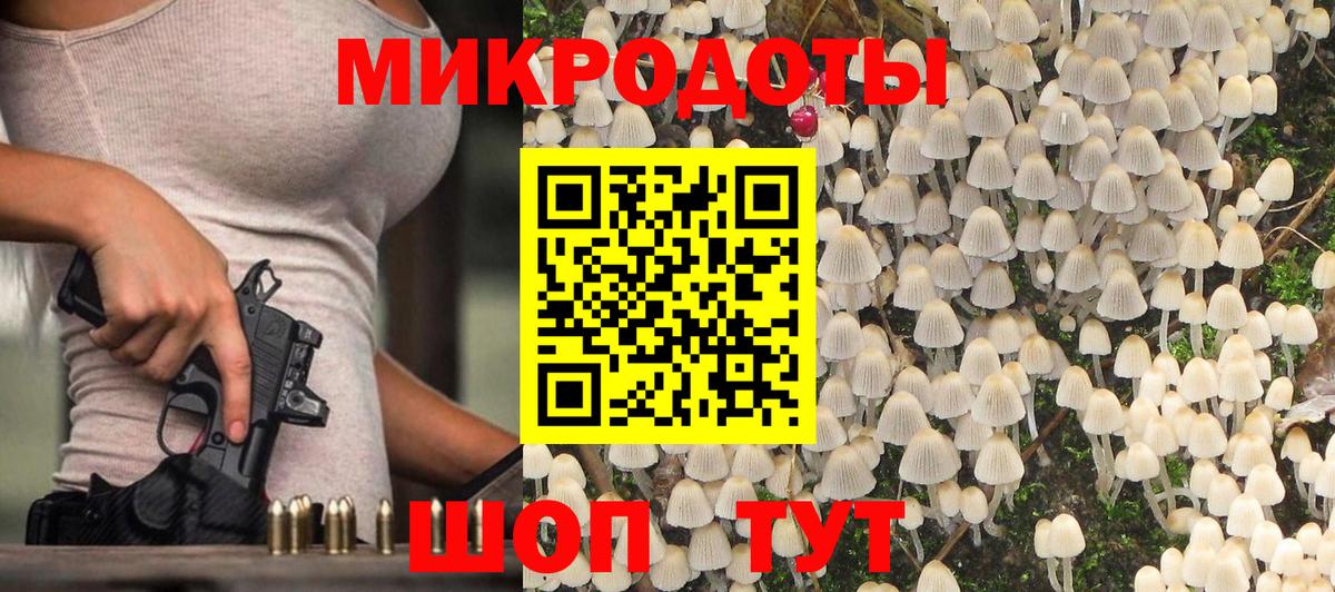 Галлюциногенные грибы мицелий Верхняя Пышма