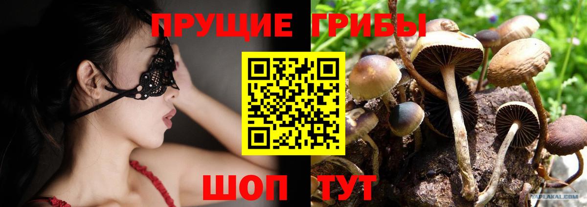 Псилоцибиновые грибы мухоморы  Вход с VPN  Псилоцибиновые грибы прущие грибы  Верхняя Пышма 